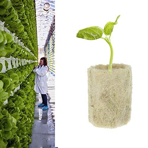 Rockwool Cube, Rockwool Starter Plugs 24PCS Agricultural Rockwool Cubes Soilless Culture Strong Water Absorption For Cuttings Plant Propagation,